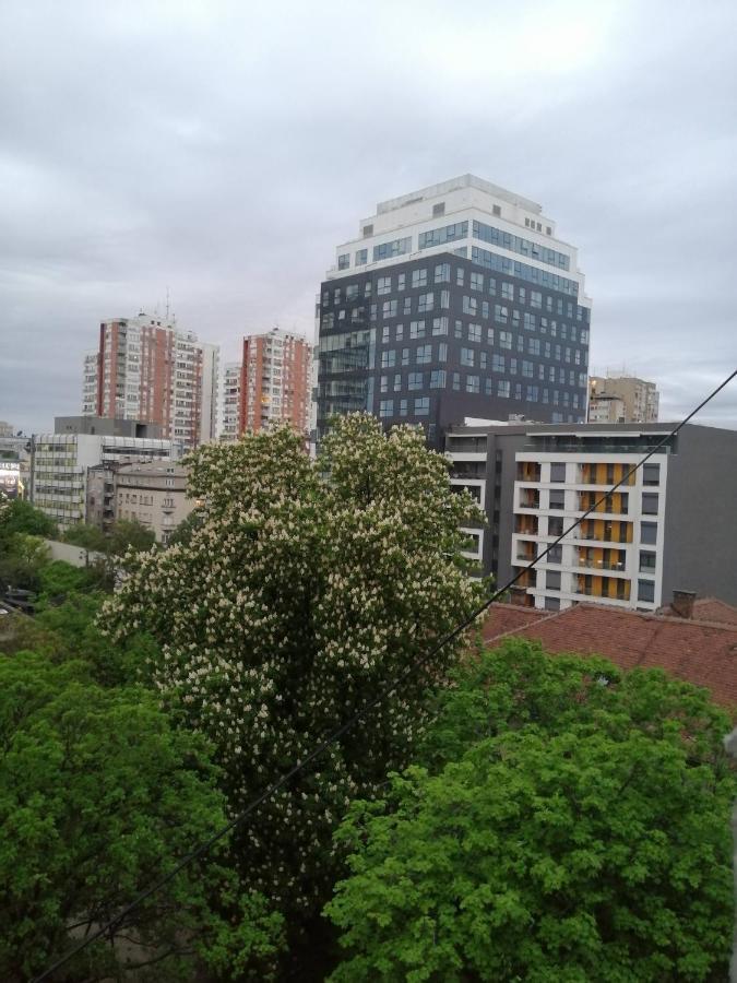 Caviar Apartment เบลเกรด ภายนอก รูปภาพ